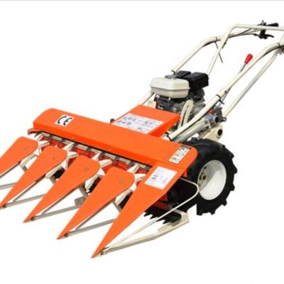 China rice good feedback hot sale grain harvester/wheat harvester/mini rice paddy cutting machine for sale