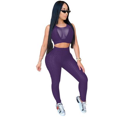 China Sustainable New Fashion Women Sleeveless Two Piece Set Clothing See Through Two Piece Pants Sweatsuit Set Set Sports Yoga Suit for sale