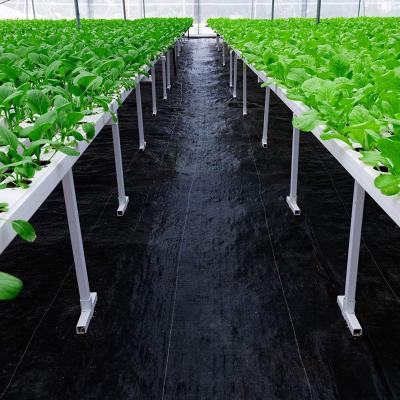 China Hot Selling Anti-grass Weed Mat Greenhouse Ground Cover Sheet Anti weed Growing PP Woven Fabric Weed Mat for sale