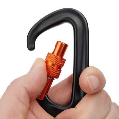 China Hook Thing Top Blue Carabiner D Shape Custom Aluminum Rotating Hook Key Chain Works Big Caribeaner for sale