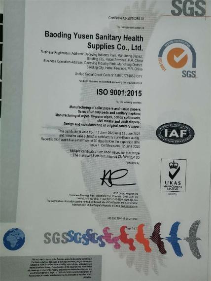 ISO9001 - Baoding Yusen Sanitary Health Supplies Co., Ltd.