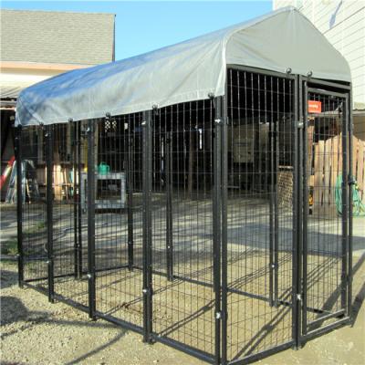 China Anping Breathable Factory Wholesale Heavy Duty 5' Outdoor Dog Cages X10'X6 Dog Kennel 3 Strokes With Fighting Guard for sale