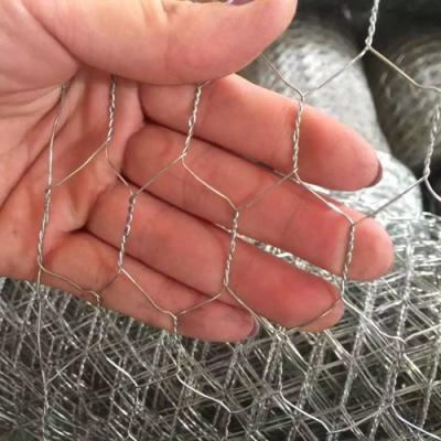 China Cages Opening PVC Coated 1.2mm Hexagonal Wire Mesh for sale