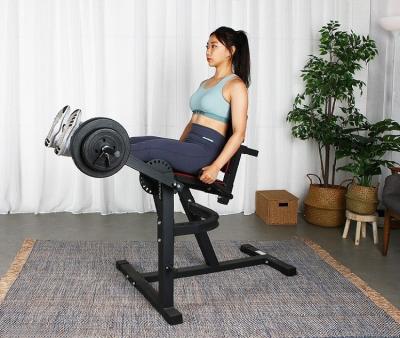 China Home Use 2022 Amazon Hot Sale Home Use Fitness Equipment Front Seated Leg Extension for sale