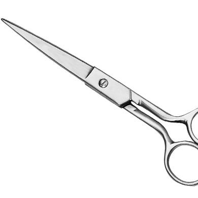 China Professional Medical Care Hair Beauty Scissors / Barber Hair Scissors Cutting Shears for sale