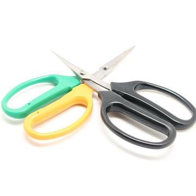 China Anti-slip handle garden tree scissors garden scissors pruner garden scissors for sale