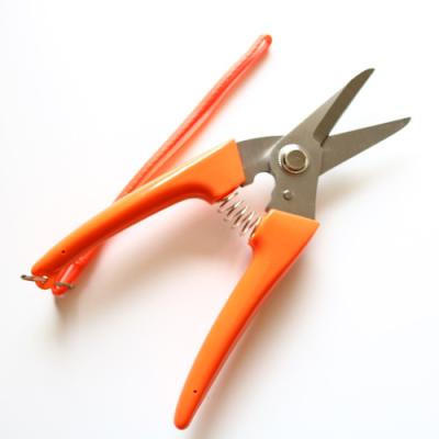 China Plastic Handle Garden Pruning Flower Stainless Steel Pruning Shears Fruit Shear Garden Scissors for sale