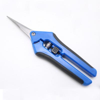 China Hydroponics Good Quality Garden Stainless Steel Scissors for sale