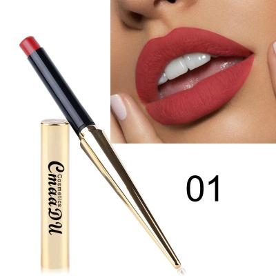 China Wholesale Waterproof Cosmetics Lips Moisturize Matte For 24 Hours Lasting Waterproof Matte Lipsticks for sale