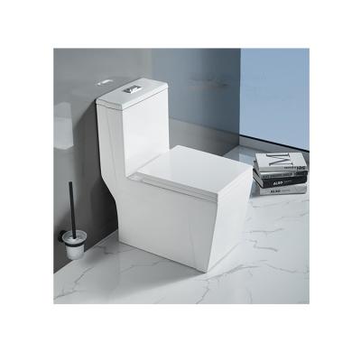 China High Quality White Ceramic Tank One Piece Washdown Double-Flow Rimless WC Toilet for sale