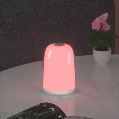 China Modern High Quality RGB Color Dimming Atmosphere Aid Sleeping Small Night Light Table Lamp Toy For Kids Baby for sale