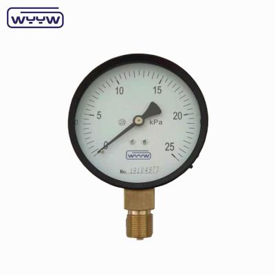 China Capsule Pressure Gauge 100 Mbar Bellows Manometer 100mm G1/2