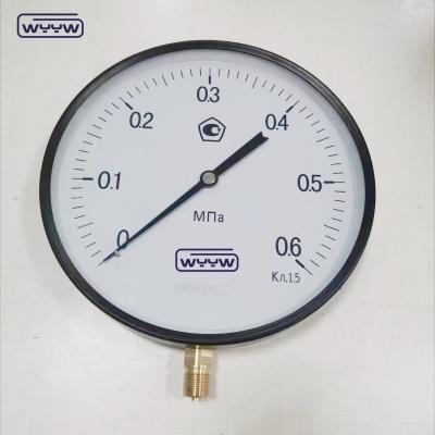 Cina 250 mm Economy Pressure Gauge Kgf/Cm2 0,6MPa Bottom Black Steel Precisione 1,6% in vendita