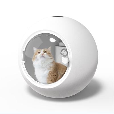 China Hot Selling 2021 Automatic Pet For Household Dog Cat Shower Water Proof Pet Dryer Box for sale