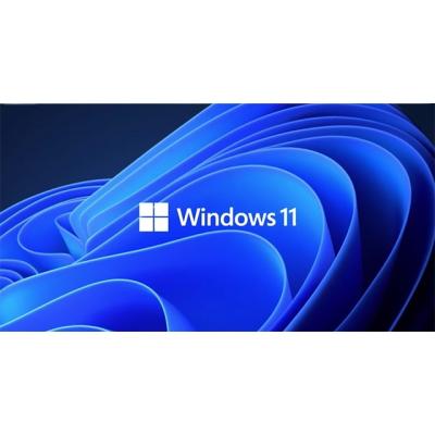 China Win 11 Pro MAJOR Mail Or Ali Delivery OEM Win 11 Professionals for sale