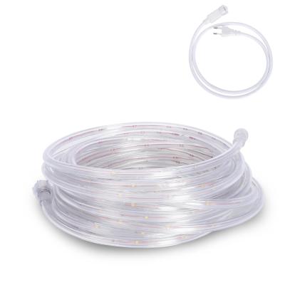 China Garden IP67 3528 PVC Ribbon 220-240V Christmas Light Low Power Consumption Led Rope Light Holiday Lighting for sale