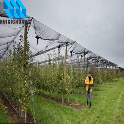 China Agricultural Anti Hail Protection Net For Plantations 100% New HDPE With UV Resistant Agricultural Anti Hail Net For Apple for sale