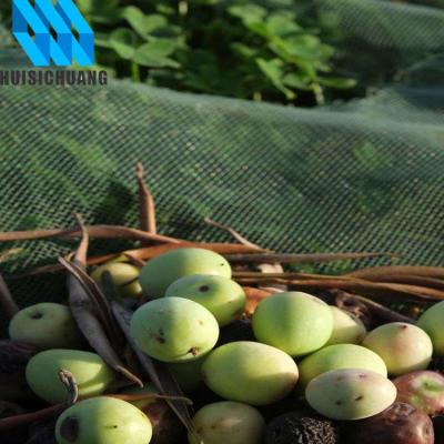 China High Quality Polyethylene Plastic Olive Tree Harvest Olive Nets for sale