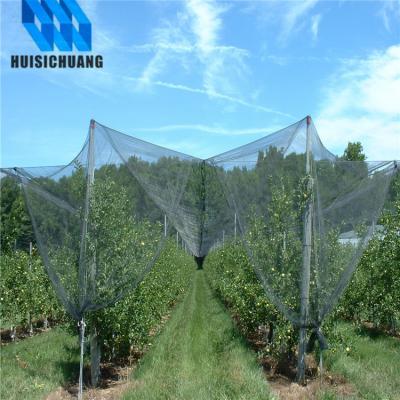 China HDPE +UV Stabilized 100% New PE Knitted Agricultural Design Anti Hail Garden Netting for sale