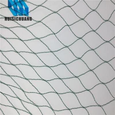 China White HDPE+UV Vegetable Protectant Anti Bird Netting To Protect Fruit Trees With 5 Years Warranty for sale