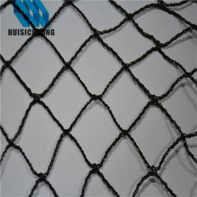 China CE certificate agriculture fruit farm vegetable anti bird protective net for sale