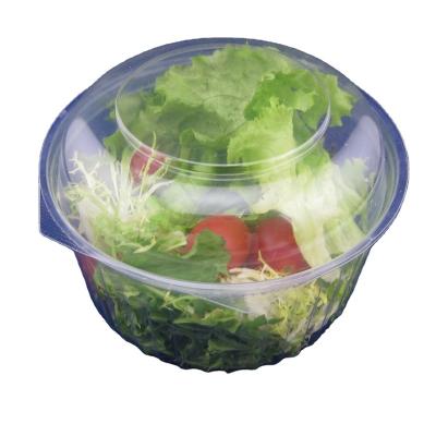 China Disposable Clear Plastic Take Out Bowl Plastic Salad Bowl With Lid Maker for sale