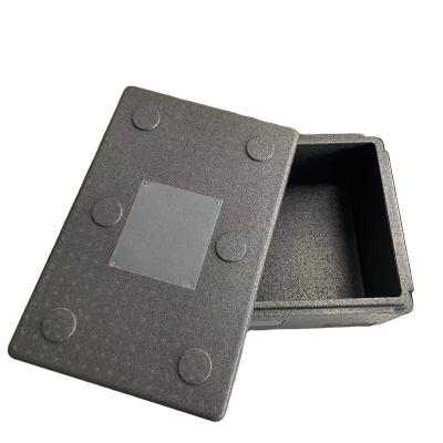 China Waterproof Eco - Friendly Gel Food PPE Foam Cooler Box Insulated Black PPE Foam Box for sale