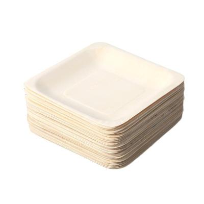 China 350pcs Factory Price Disposable Square Dish for sale