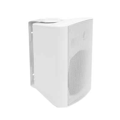 China Audio Products Wall Speaker System Wall Speakers 20 Watt On Wall Speaker for sale