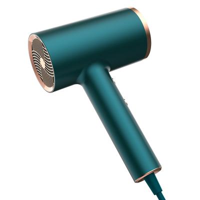 China Ionic New Arrival Light Weight Hair Dryer 1800 W Anion Hairdryer for sale