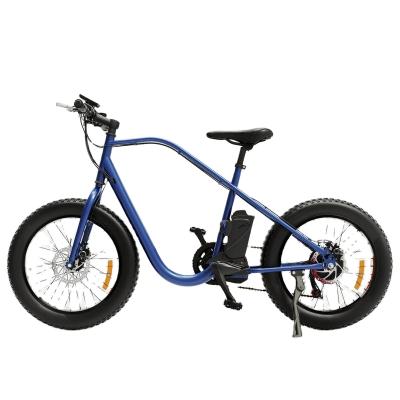 China China Steel 250W 24V 8AH Electric Bicycle Electric Bike (HP-M02) for sale