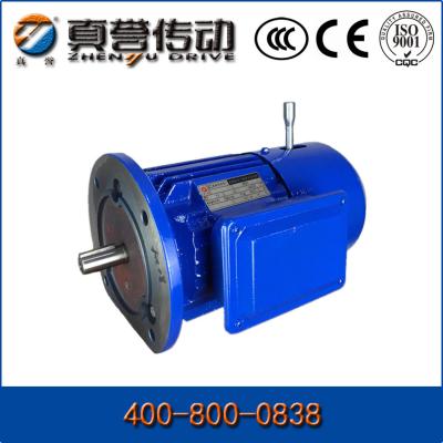 China Hoge Torsie Blauwe Ac Inductie Elektrische Motor 3 Fase met Laag T/min, Gietijzer Te koop