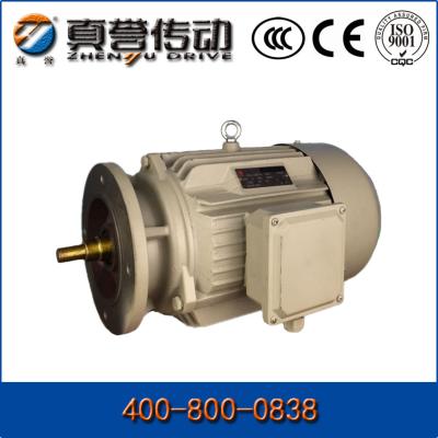 China Cast Iron Aluminum Electrical Induction Motor IP54 / Induction AC Motor 50Hz / 60Hz for sale