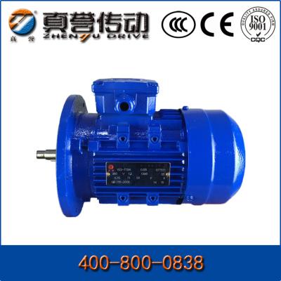 China High Torque OEM Induction Electric Motor Three Phase With CCC CE , 220v - 660v for sale