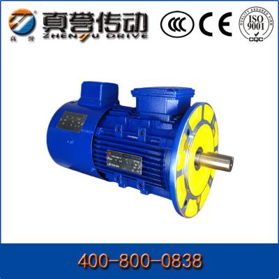 China 1HP 2HP 3HP Inductieac Motor Enige Fase 3 Fase Elektrische Motoren IP44/IP54 Te koop