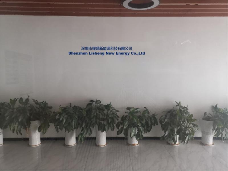 Verified China supplier - Shenzhen Lisheng New Energy Technology Co., Ltd.