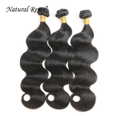 China 100% Indian Natural Body Wave Hair Body Wave Color Hair Bundle for sale