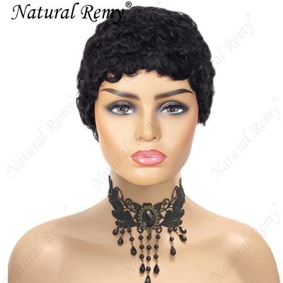 China Other Curly Afro Wig Short Hair Natural Color Wig Women 100% Afro for sale