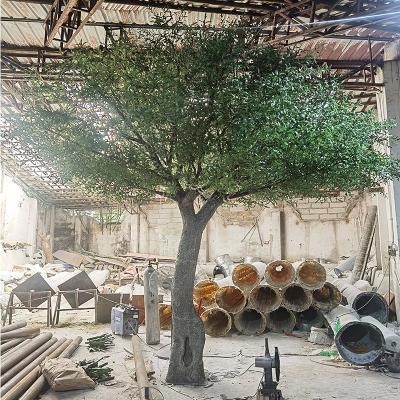 China Minimalist Olive Tree Harvest Machine Olive Tree Fake Olive Tree Products for sale