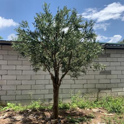 China Minimalist Artificial Fake Olive Tree Olive Tree Large Fake Olive for sale