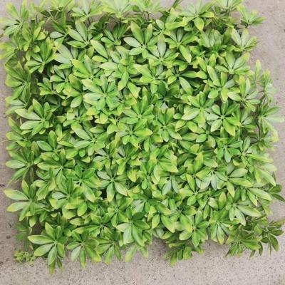 China Eco-Friendly Designer Artificial Mat Decor Canibus Grass Wall for sale