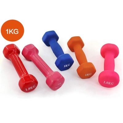 China Wholesale Fitness Exercise Dumbbell 1kg Small Yoga Exercise Fitness Dumbbell For Women for sale