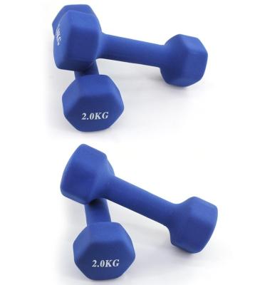 China Hot Sale 2kg Yoga Exercise Fitness Gym Sports Yoga Dumbbell PVC Coating Dumbbell Rubber Weights For Sale for sale