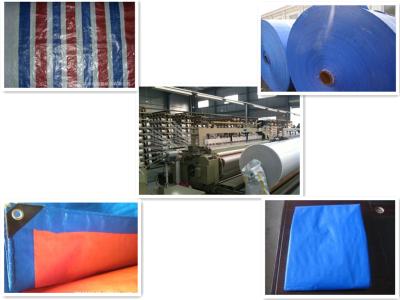 China PLASTIC COLOR-STRIPPED TARPAULIN for sale