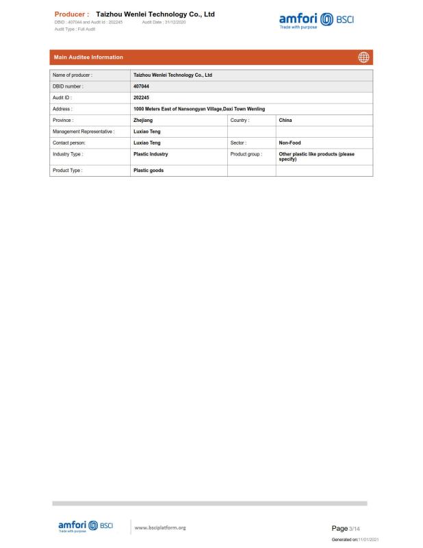 BSCI - Taizhou Wenlei Technology Co., Ltd.