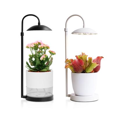 China Eco - Friendly Home Indoor Full Blossom Succulent Plant Led Spectrum Grow Light With USB Charge for sale