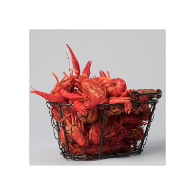 China Delicious and fragrant spicy crawfish cooked wholesale FROZEN for sale