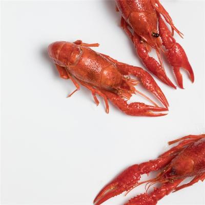 China Best Price Chinese Healthy Food Taste Frozen Spicy Crayfish for sale