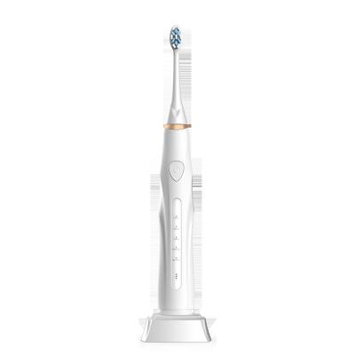 China New Style Battery Operated Sonic Electric Toothbrush IPX7 for sale