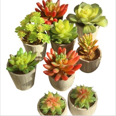 China Artificial Succulents Mini Potted Fake Succulents Fake Succulent Plants For Flower Arrangements MLT-AF for sale